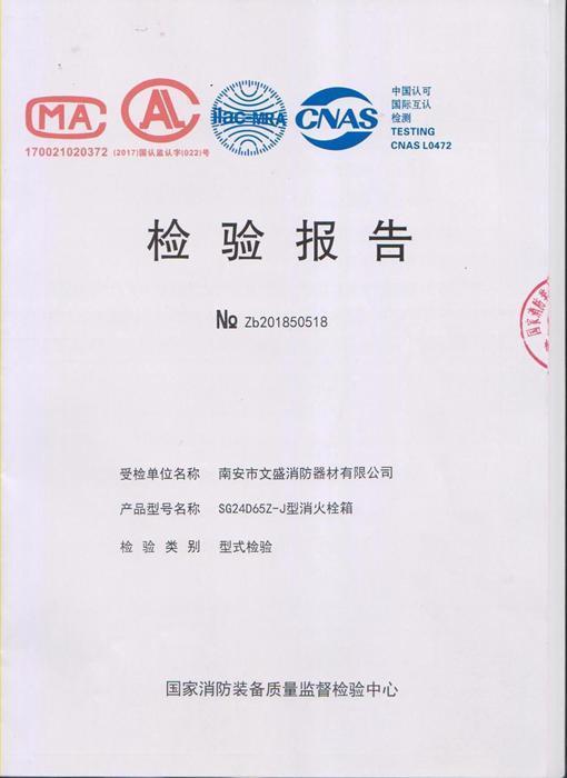 SG24D65Z-J消火栓箱